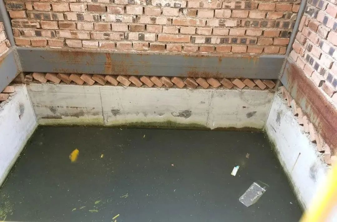 DƬ